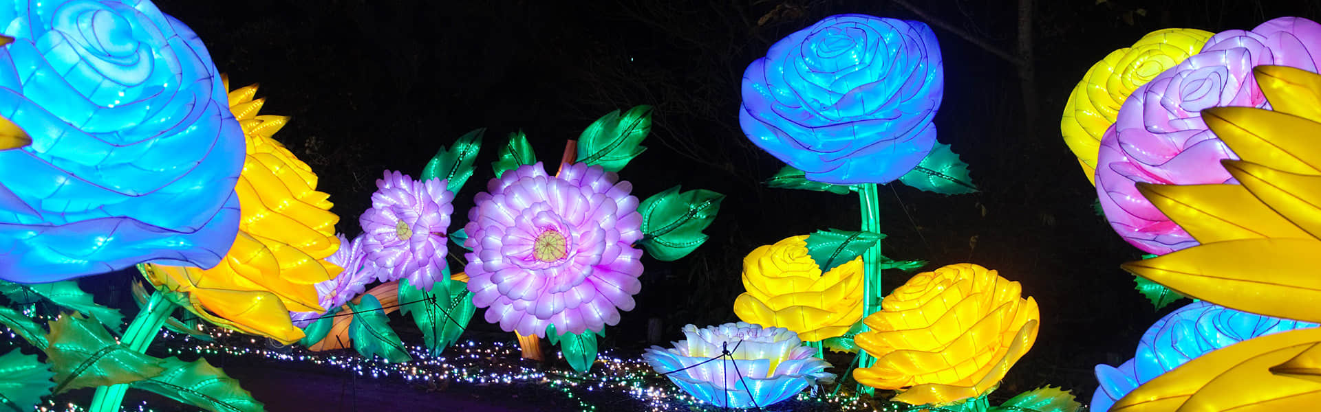 Chinese Lantern Festival Manufacturer-Fun Lantern